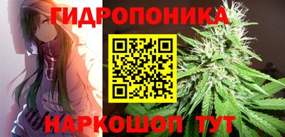 Альфа ПВП Беслан