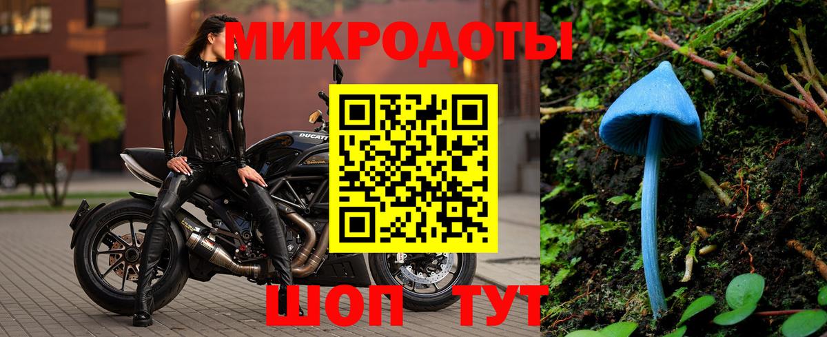 Ишимбай  Псилоцибиновые грибы GOLDEN TEACHER  Вход с VPN 